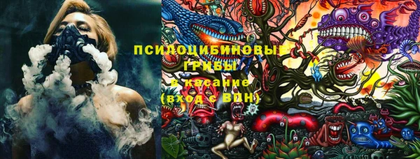 дурь Алексин
