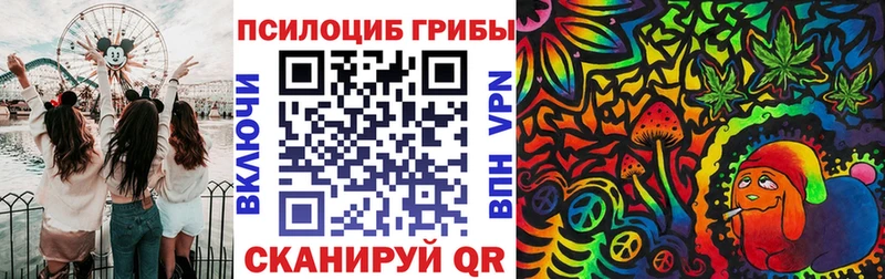 Псилоцибиновые грибы Cubensis  Дудинка 